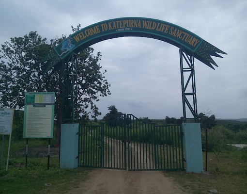 Indoor wedding setup – top-rated wedding venue in Akola